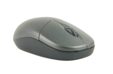 computer mouse isolated in white