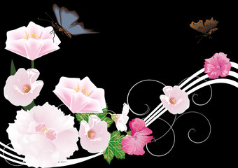 pink flowers and dark butterflies on black