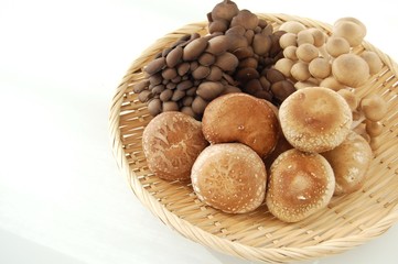 3種類のキノコの盛り合わせ