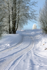 Obraz premium Winter way