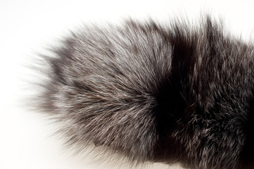 Female fur collar foxes