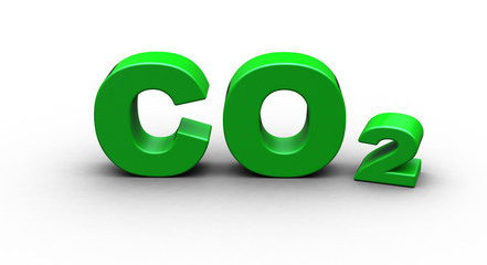 CO 2
