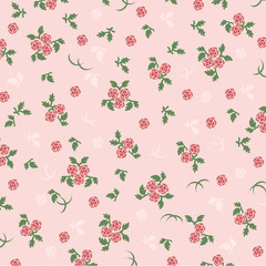 rose background pink