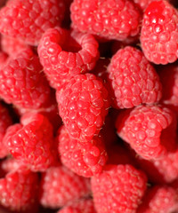 Close up of Raspberries