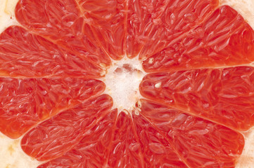 Fruit