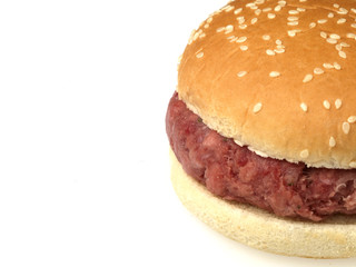 Raw Beefburger