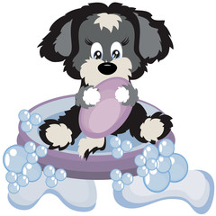 Puppy with soap