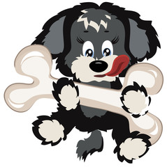 Puppy with big bone