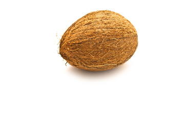 coconut
