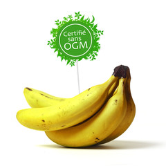 bananes bio © Fox_Dsign