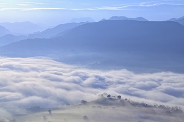 Arboles entre niebla desde el Cayón