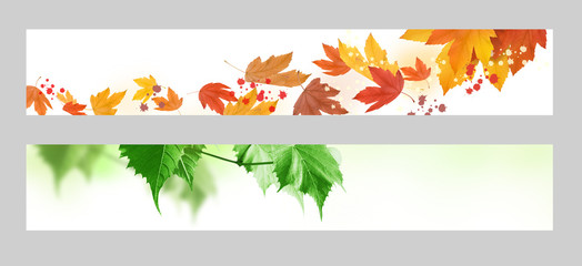 Naklejka na ściany i meble Autumn and spring banner