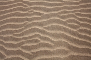 Fototapeta na wymiar Dunes texture