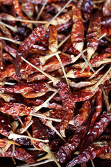 Dried  chillies