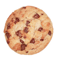 Chocolate Chip Biscuit cookie