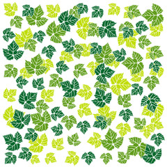 leaf