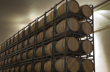 barricas en la bodega