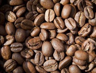Coffee Beans