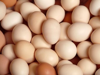 Eggs home, background