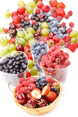 different kinds of berries