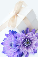 purple and cream gift