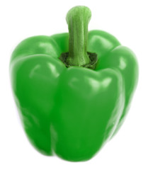 A Single Green Pepper Against White