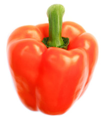 A Single Orange Pepper Against White