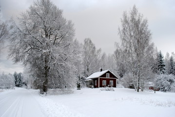 Naklejka premium Winter in Schweden