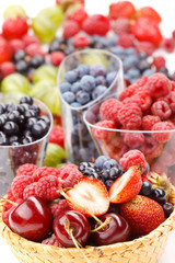 different kinds of berries
