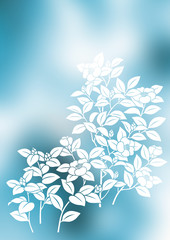 グラフィックプランツ