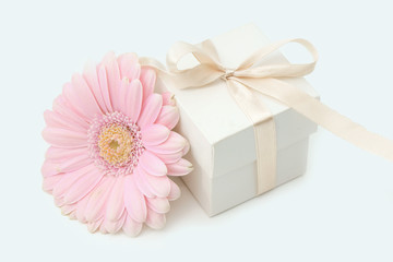 pink flower and gift