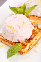 Waffle, whip and mint