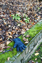 Lost glove in Autumn landscape