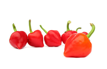 Red peppers