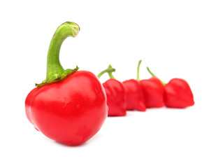 Red peppers