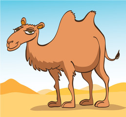 Cute Camel
