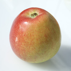 Braeburn; Apfel; Malus domestica