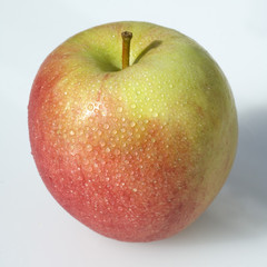 Braeburn; Apfel; Malus domestica