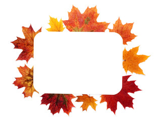 Autumn sheet by frame