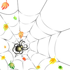Background with Leafs and Spider on a Web in Autumn