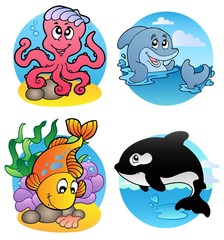 Obraz premium Various aquatic animals and fishes