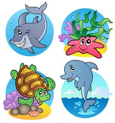 Obraz premium Various sea animals and fishes