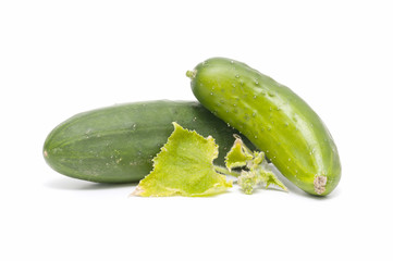 ecological cucumbers
