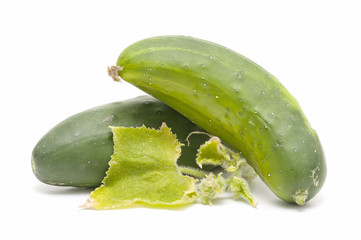 ecological cucumbers