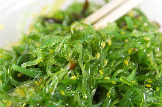 Salade Wakame