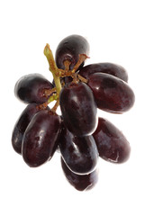 grape isolated