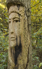arbre sculture