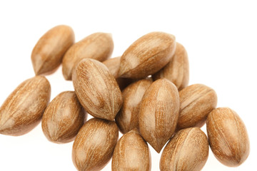 Pecan isolated on white