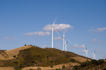 Wind turbines farm.