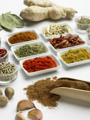 Various spices on a white background